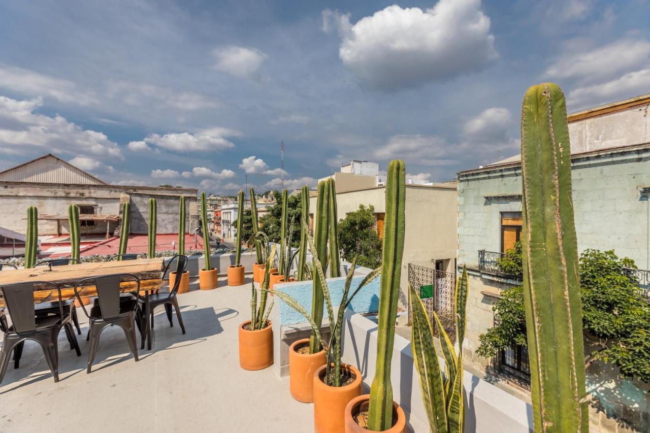 Casa Olie Hotell Oaxaca Eksteriør bilde